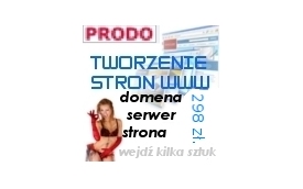 PRODO - Agencja Reklamowo Informatyczna Dorota Duda-Mosielska